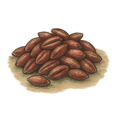 Hard Red Wheat Berries