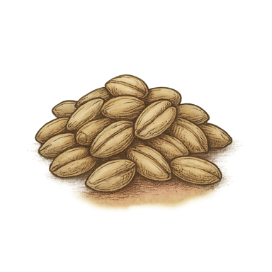 Soft White Wheat Berries