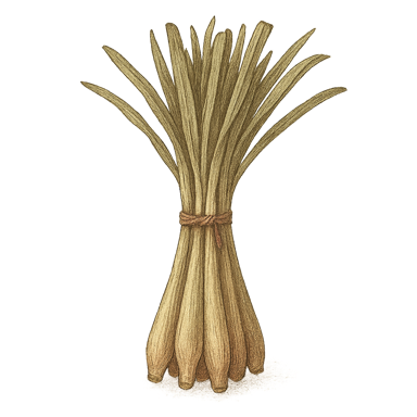 Lemongrass