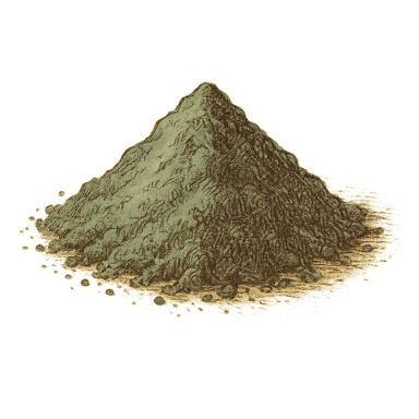 Spirulina