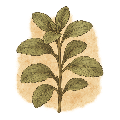 Stevia