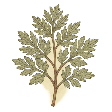 Wormwood
