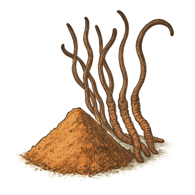 Cordyceps Mushroom Powder