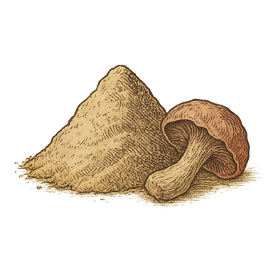 Mushroom Extract Blend