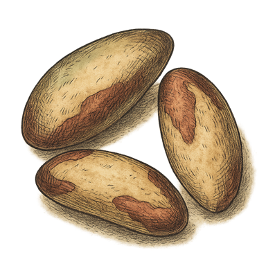 Brazil Nuts