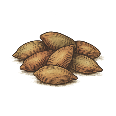 Roasted Salted Sunflower Seeds