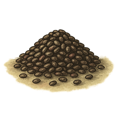 Whole Black Chia Seeds