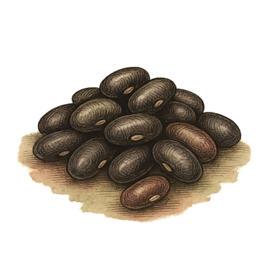 Black Beans