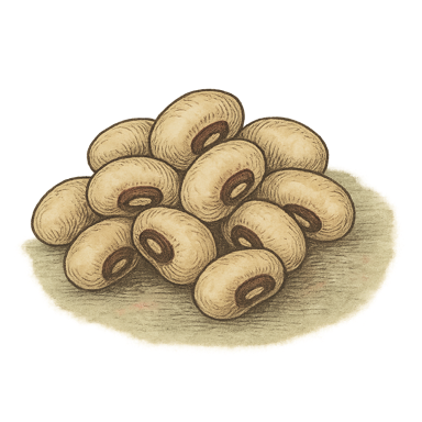 Black Eyed Peas