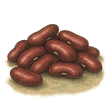 Kidney Beans