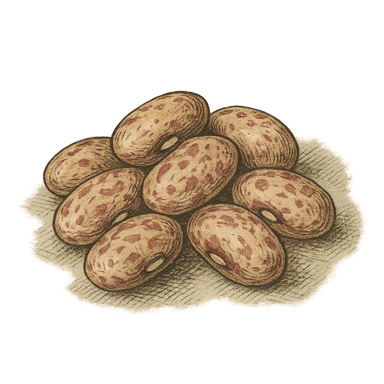Pinto Beans