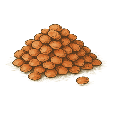 Red Lentils