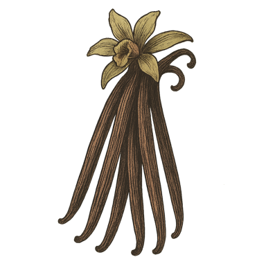 Vanilla Beans