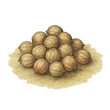 Coriander Seeds