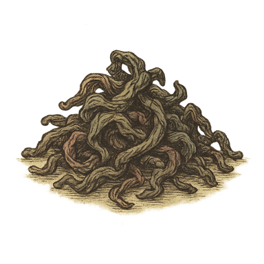 Se Chung Oolong Tea