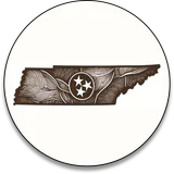 Tennessee state icon